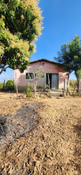 Casa com 3 Quartos à Venda, 300 m² em Santo Antônio - Teresina