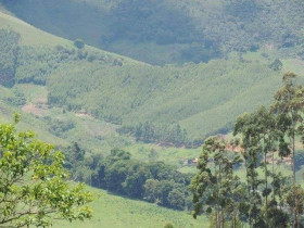 Terreno à Venda, 5.000 m² em Cunha