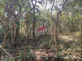 Terreno à Venda, 1.690 m² em Acuruí - Itabirito