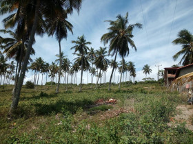 Terreno à Venda, 140.000 m² em Barra Do Itariri - Conde