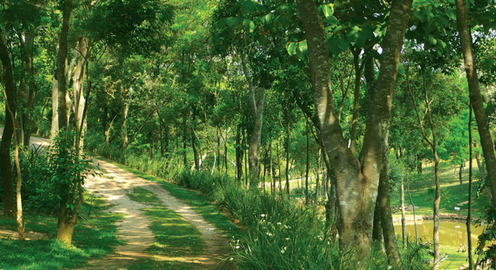 Imagem de fundo do condomínio Condomínio Nature Village 2 - Centro - Jundiaí - SP