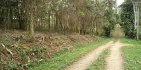 Terreno à Venda, 1.960 m² em Centro - Santa Isabel