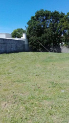 Terreno à Venda, 900 m² em Rio Tavares - Florianópolis