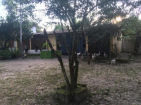 Chácara com 2 Quartos à Venda, 4.000 m² em Jd. Coronel - Itanhaém