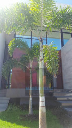 Casa de Condomínio com 4 Quartos à Venda, 630 m² em Portal Do Sol - João Pessoa