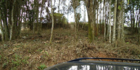 Terreno à Venda, 1.960 m² em Centro - Santa Isabel