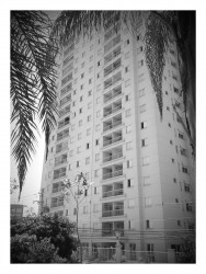 Apartamento com 3 Quartos à Venda, 67 m² em Jaguaré - São Paulo