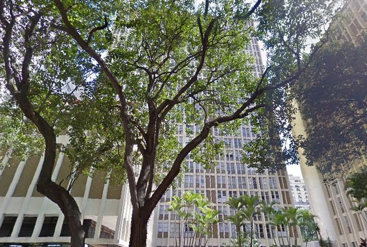 Imagem de fundo do condomínio Condomínio - Riviera Higienópolis - São Paulo - SP