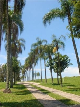 Imagem de fundo do condomínio Condomínio Sainte Helene - Sousas - Campinas - SP